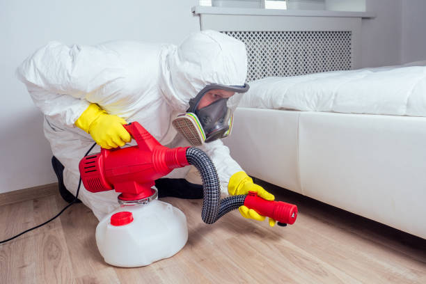 Best Affordable Pest Control Services  in Stanton, NE